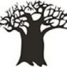 Baobab Tree Icon S W125 H125 Q100 M1488809417
